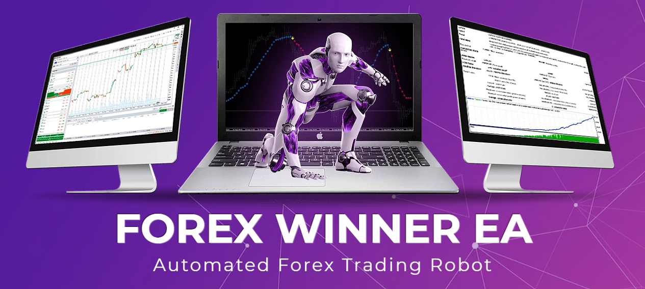 Forex discount store